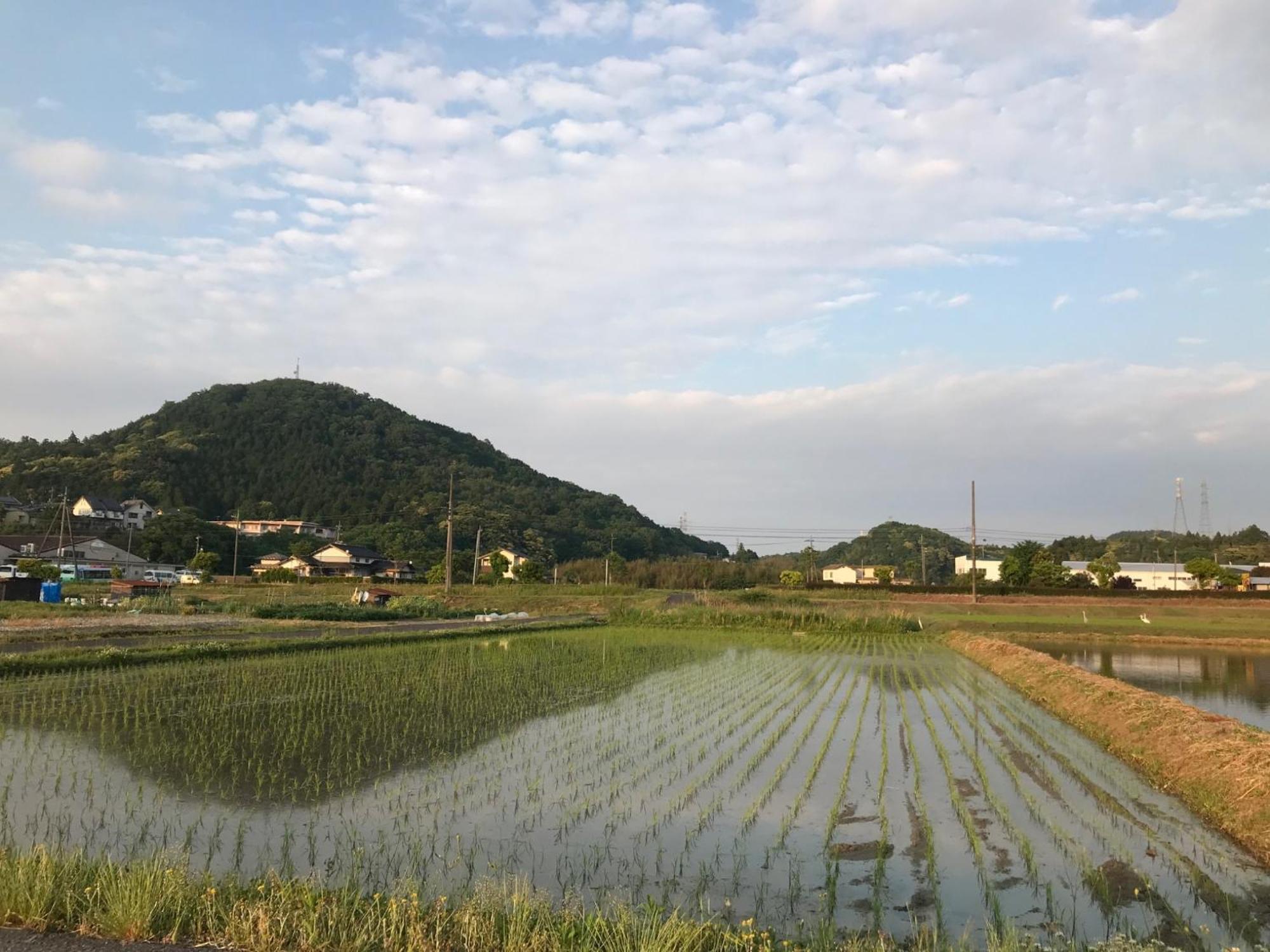 Morinoka - Vacation Stay 43707V Matsue Exterior foto